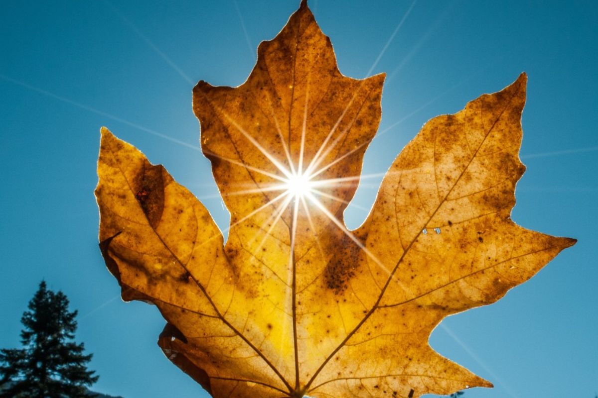 Equinoccio de otoño 2026 en México