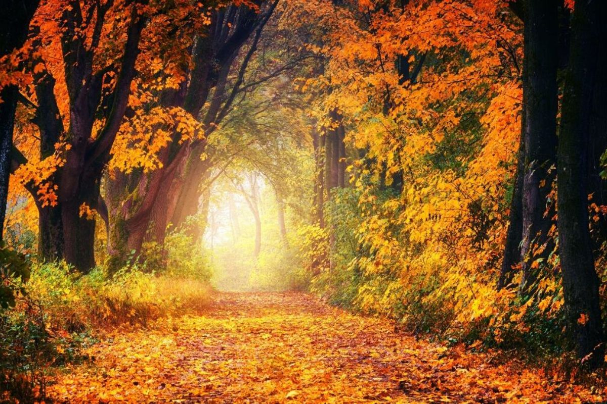 Equinoccio de otoño 2026 en México