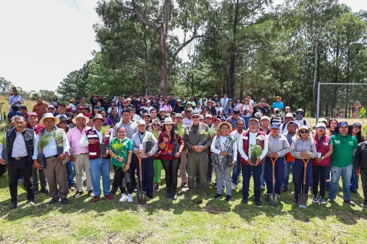 Con el respaldo del Gobierno del Estado, Tonantzin Fernández encabeza jornada de reforestación en el Cerro Zapotecas