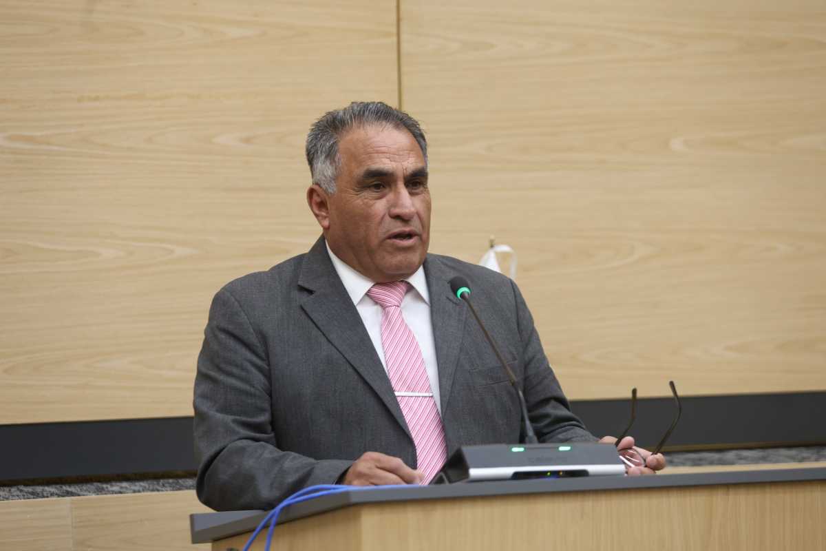 Impulsa diputado Elpidio Díaz exhorto para promover la implementación de azoteas y muros verdes 6 Implementación de azoteas y muros verdes | Foto: Cortesía