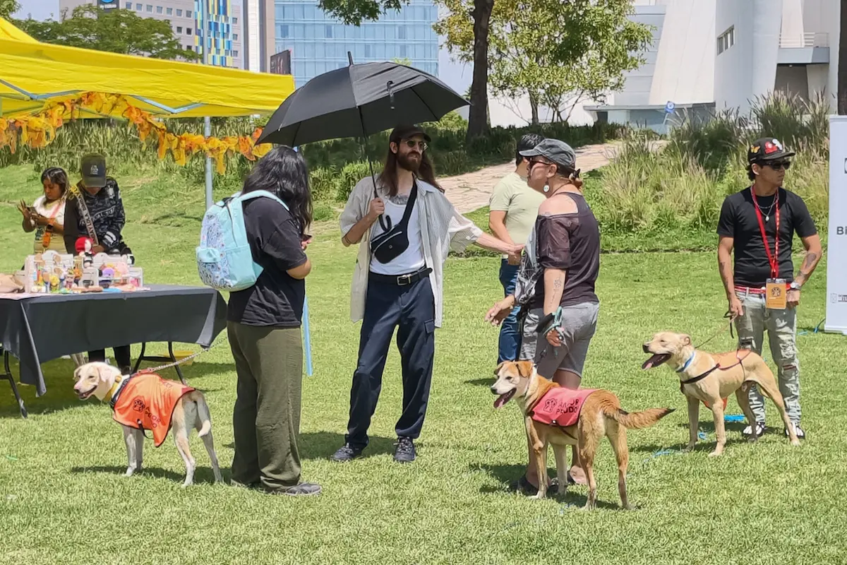 Guía para adoptar perros en Puebla
