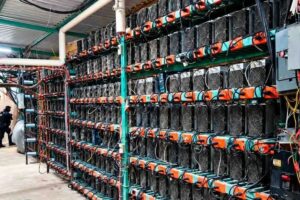 Estas fueron las ganancias de la granja de criptomonedas en Tlaola