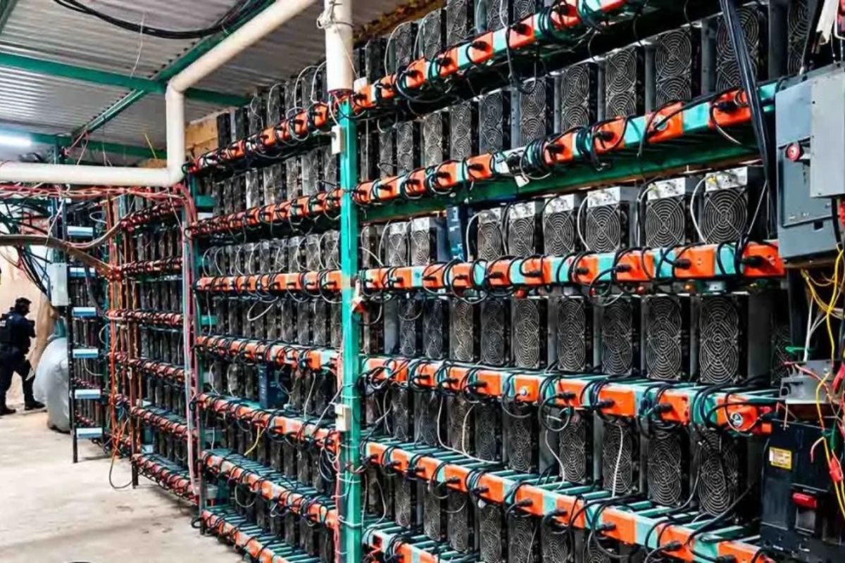 Granja de criptomonedas en Tlaola generaba ganancias por 4.5 mdp al mes 2 Estas fueron las ganancias de la granja de criptomonedas en Tlaola