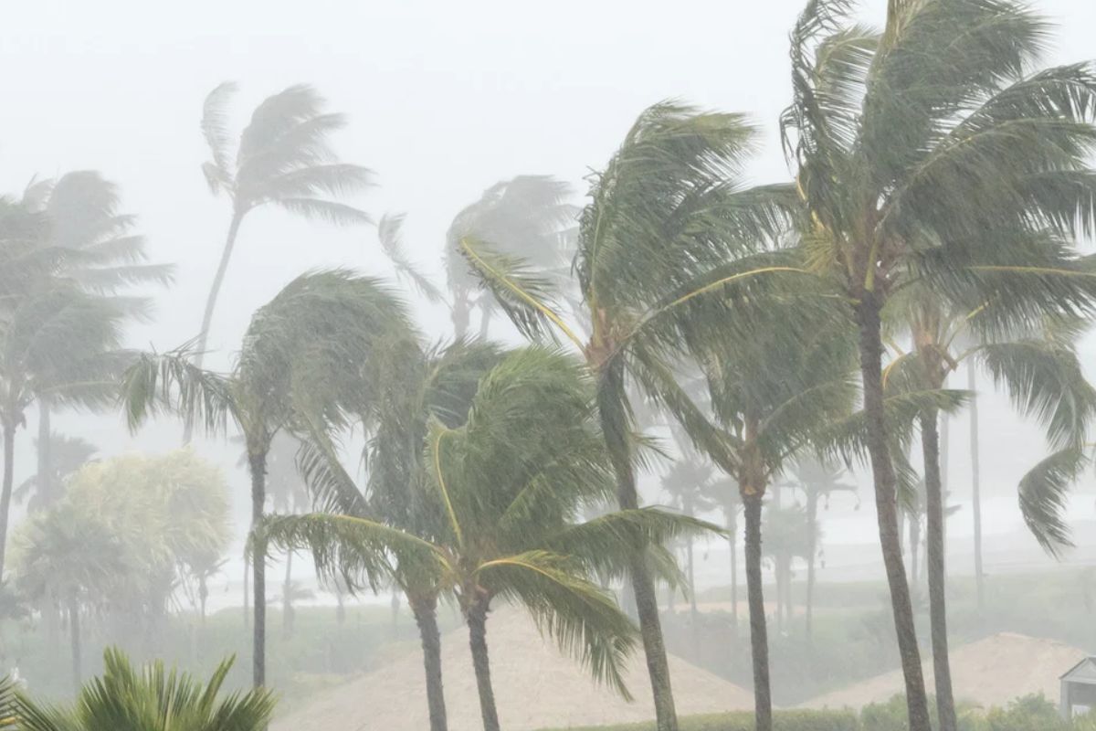 Trayectoria de la tormenta tropical Polo sobre el Pacífico | Foto: Cortesía