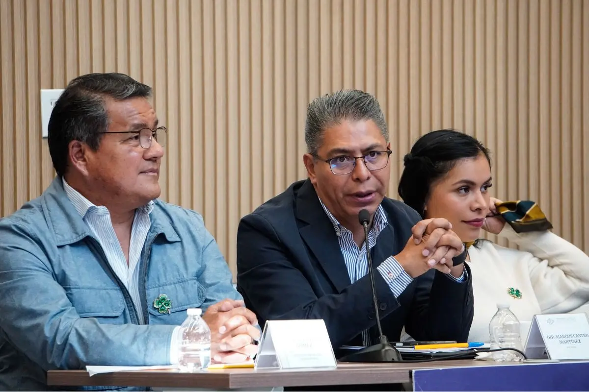 Morena va contra inclusión de familiares de candidatos a alcaldes en planillas