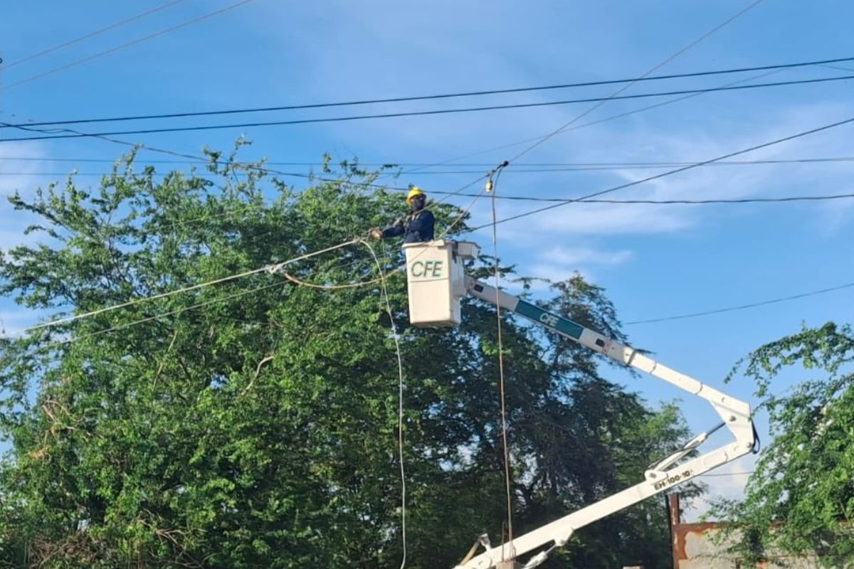 Trabajador de la CFE realiza labores en una línea eléctrica antes del corte de luz del 24 de septiembre | Foto: CFE
