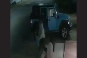 Encañonan a familia y les roban Jeep Wrangler en Lomas de Angelópolis 4 Roban Jeep en Ocoyucan, en los límites con Lomas de Angelópolis | Foto: Cortesía
