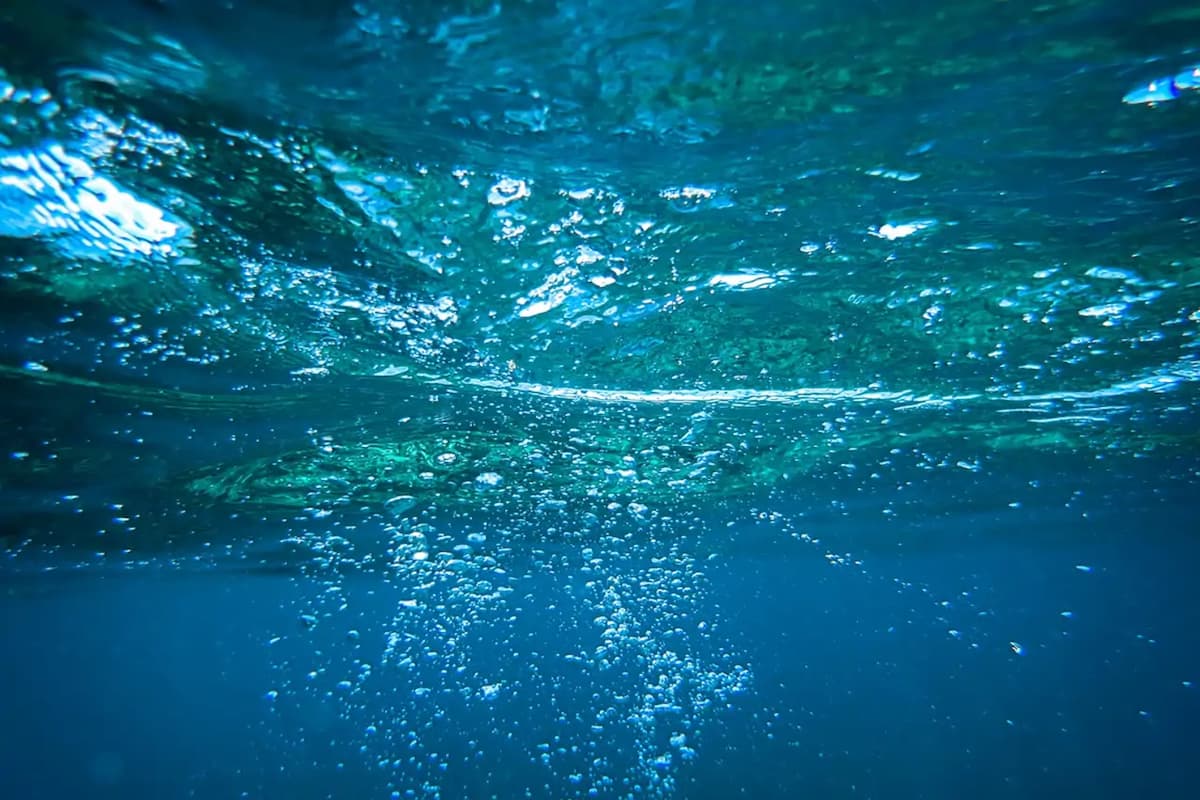 Detectan contaminantes emergentes en el Océano a más de 3 mil metros de profundidad