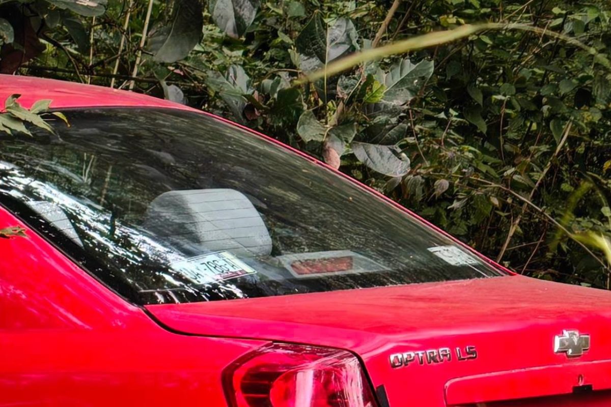 Muere mujer en Zacapoaxtla; investigan como feminicidio la caída de su auto a una barranca 6 Muere mujer en Zacapoaxtla; investigan como feminicidio la caída de su auto a una barranca | Foto: Cortesía