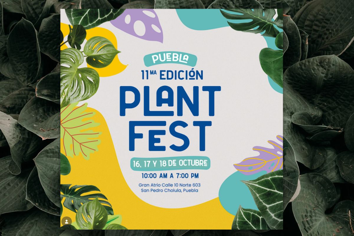 Plantfest en Cholula, feria de plantas y flores | Foto: Plantfest