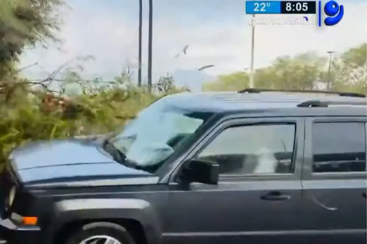 (VIDEO) Atropellaron a reportera de Gamavisión en Monterrey