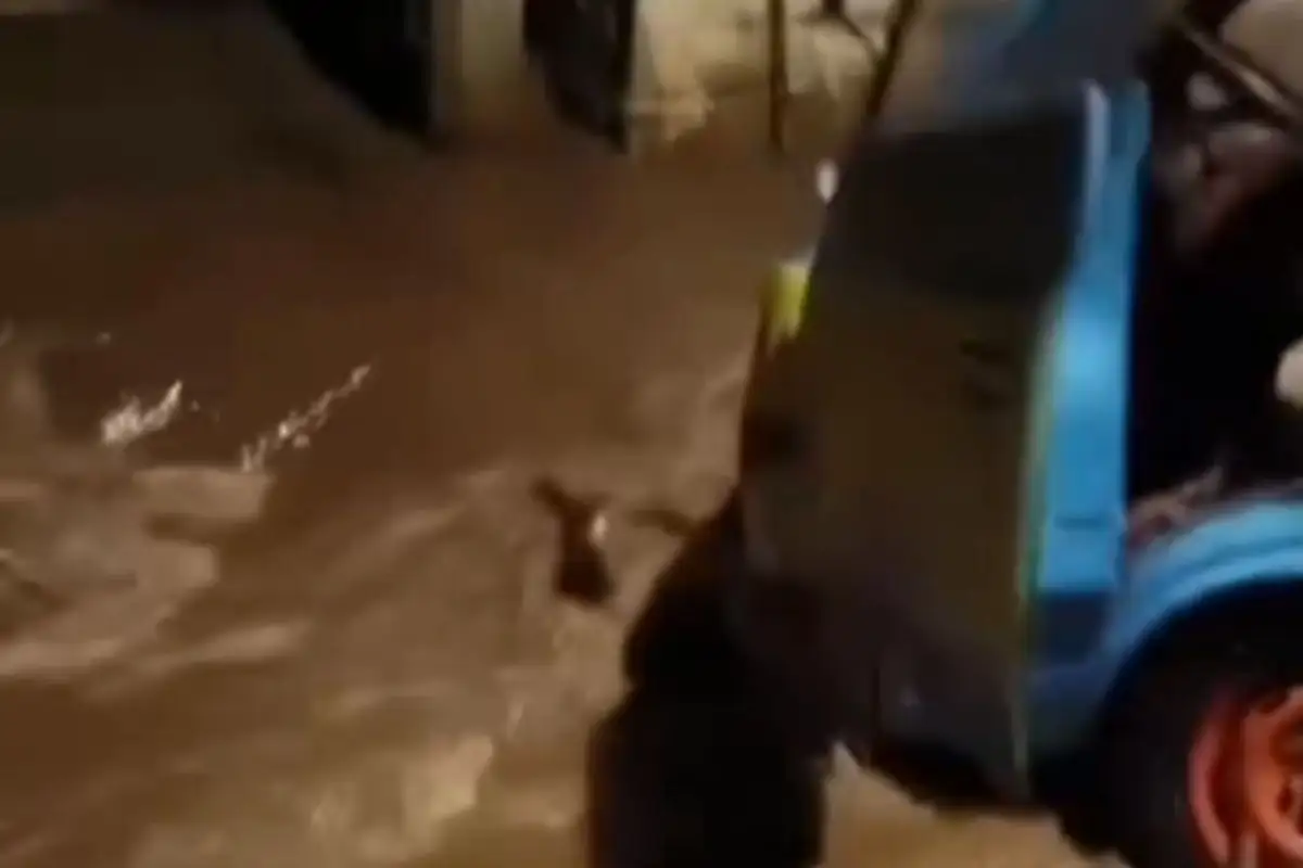 (VIDEO) Van de Scooby Doo en Puebla queda varada