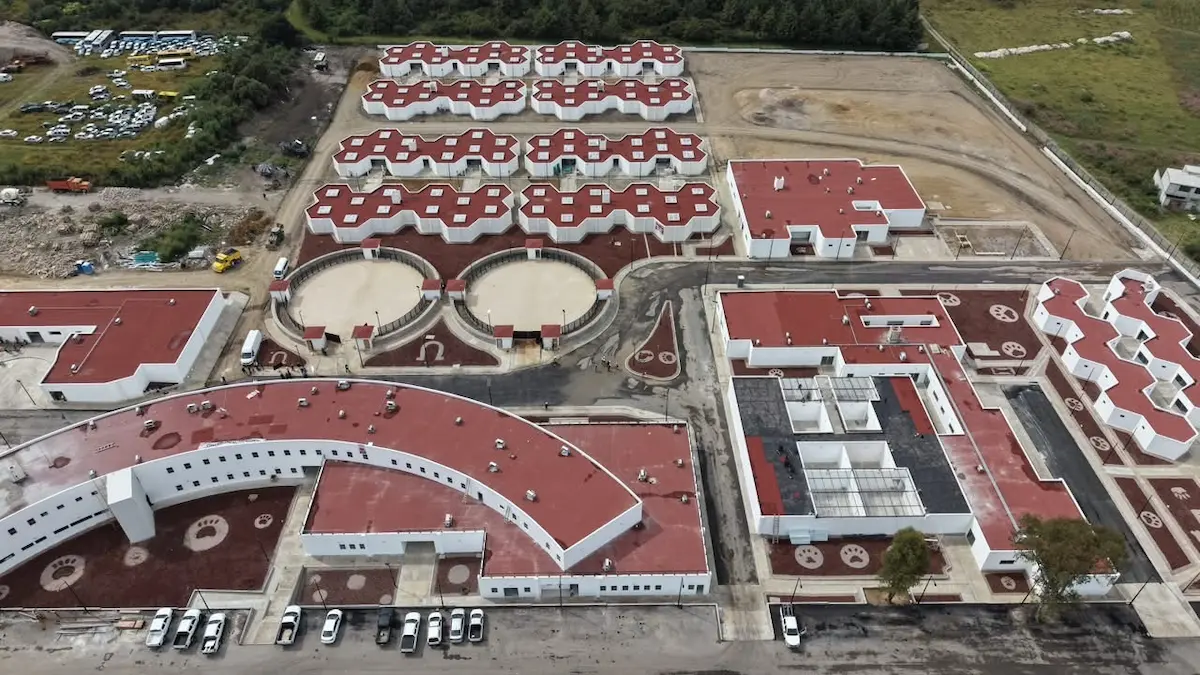 Centro de atención para seres sintieses más grande del mundo en Puebla