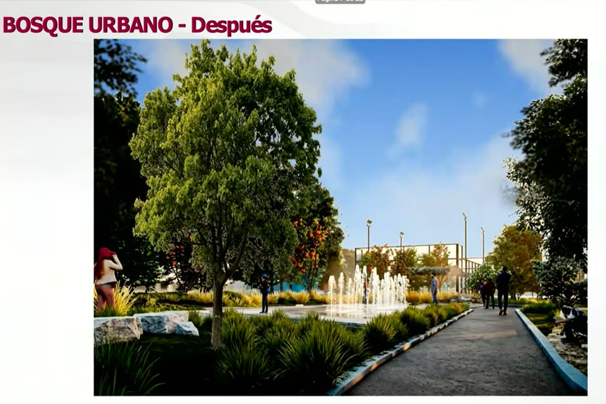 Así será el bosque urbano del CENHCH: reubicarán cancha de pádel 2 Así será el bosque urbano del CENHCH: reubicarán cancha de pádel