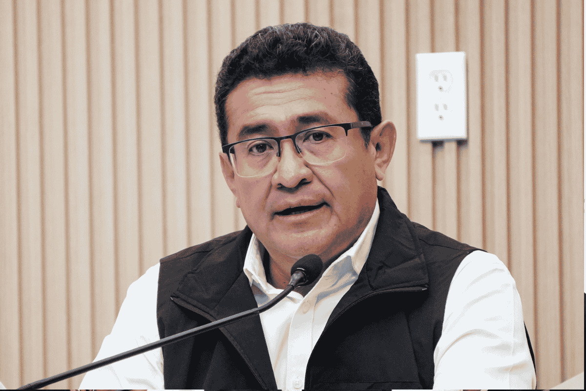 diputados locales de Morena que se registraron por diputaciones federales 