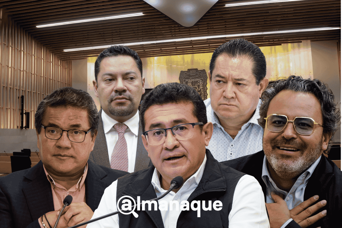 diputados locales de Morena que se registraron por diputaciones federales