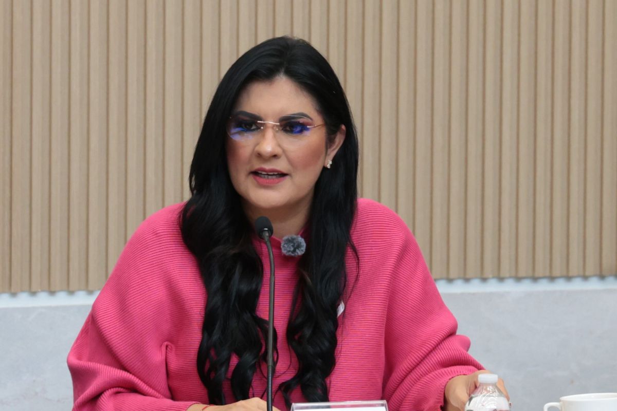 Anuncia diputada Delfina Pozos gira de trabajo por Nueva York para impulsar agenda migrante