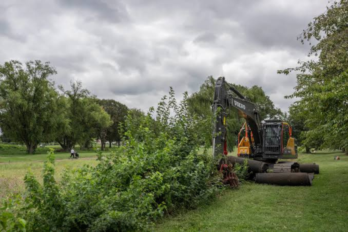 Jueza frena tala de árboles en campo de golf que Trump busca renovar en Washington 