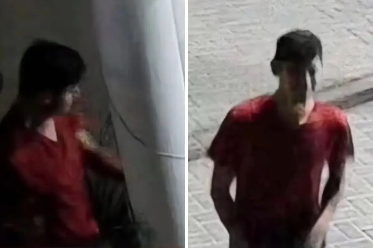 Mató un perro en Acatzingo a golpes y vecinos lo buscan