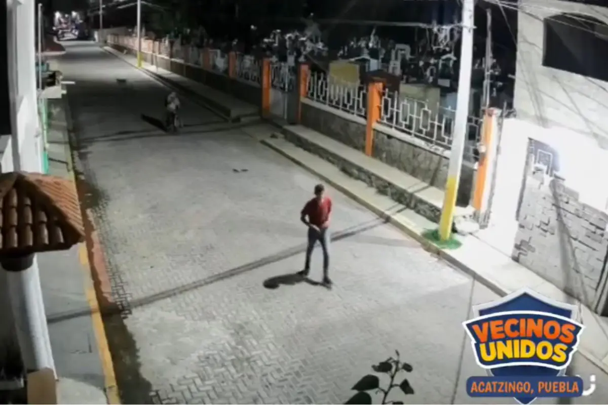 Mató un perro en Acatzingo a golpes y vecinos lo buscan