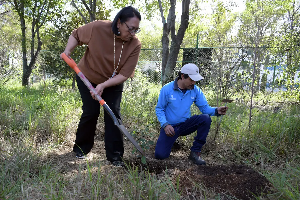 Realiza Jardín Botánico Universitario el Primer Festival de los Encinos