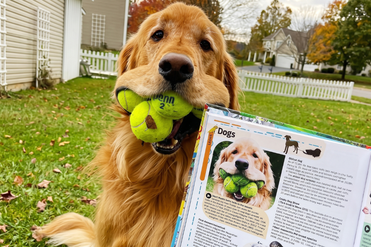 ¡Qué hocicote! Finley, el perro con un récord Guinness que nadie ha podido superar