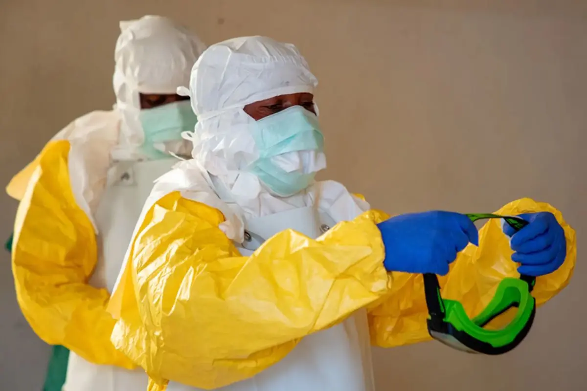 ¿Qué es el virus Shamonda y cuáles son sus síntomas?