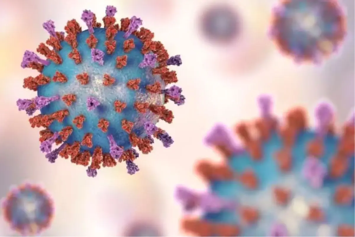 ¿Qué es el virus Shamonda y cuáles son sus síntomas?