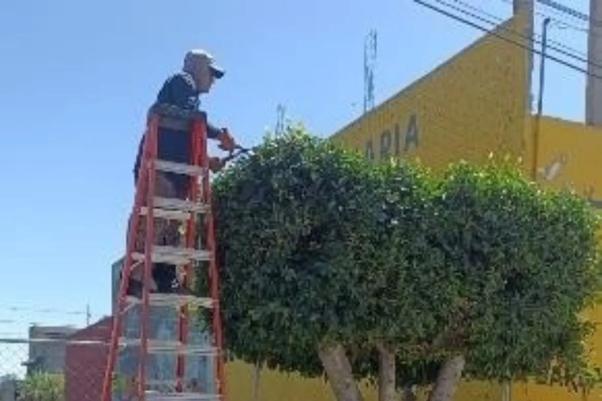 Intensifica Tonantzin Fernández servicios públicos en barrios y juntas auxiliares de San Pedro Cholula