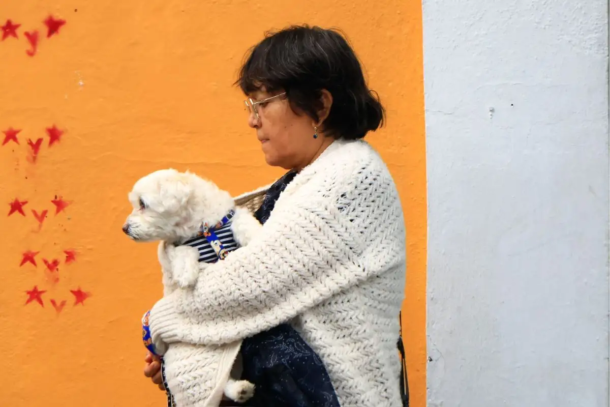 Pronóstico del clima: este viernes estará nublado y hará mucho viento en Puebla 3 Clima en Puebla hoy viernes 23 de octubre: habrá mucho viento
