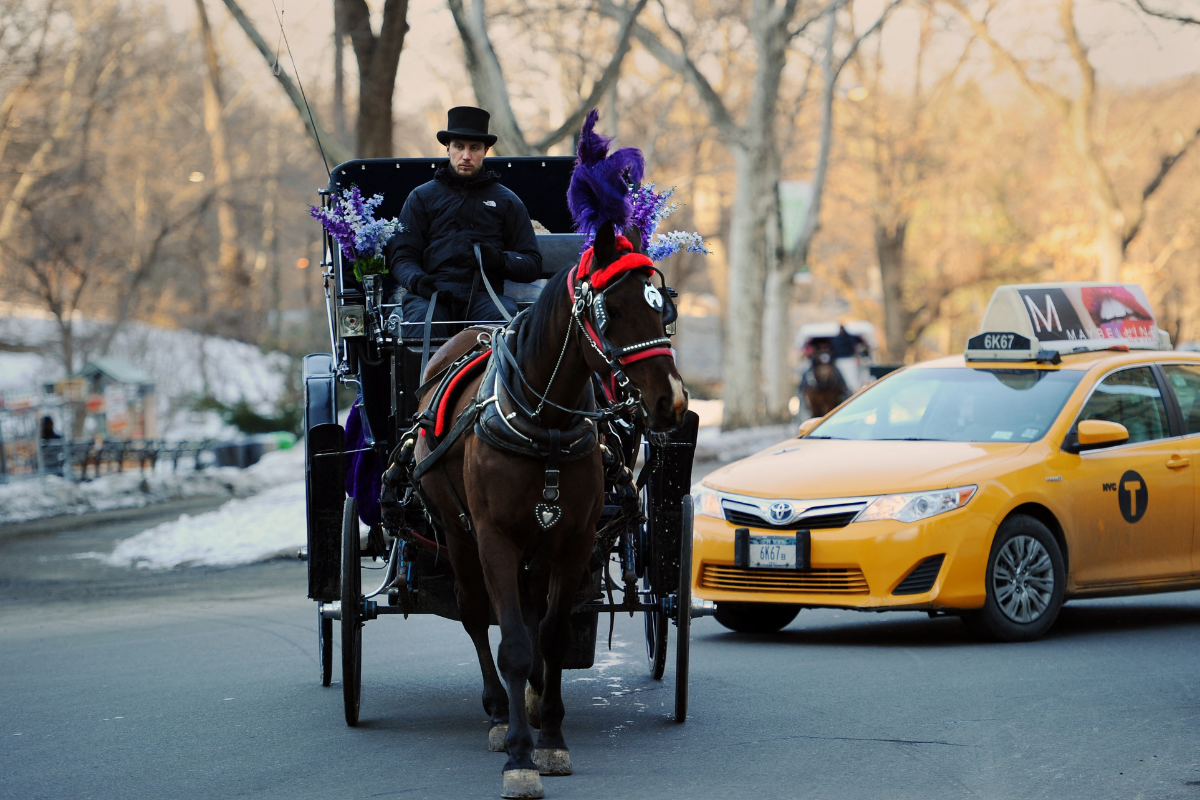 Nueva York prohibirá los carruajes jalados por caballos en Central Park a partir de 2028