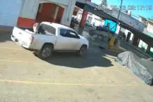Muere perro arrollado en Ajalpan y dueña ofrece recompensa para dar con el responsable 2 Atropellaron a un perro en Ajalpan y buscan al responsable