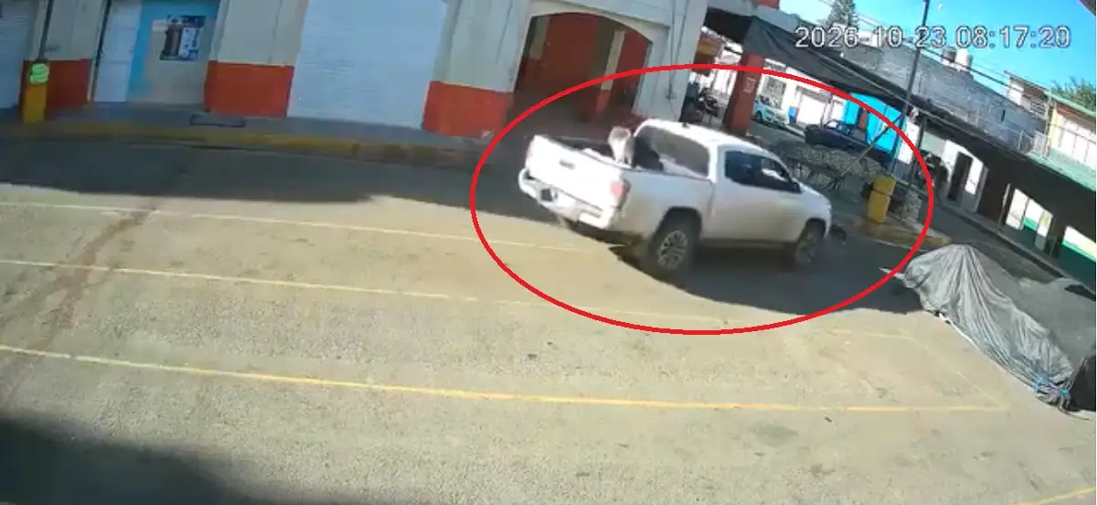 Atropellaron a un perro en Ajalpan y buscan al responsable