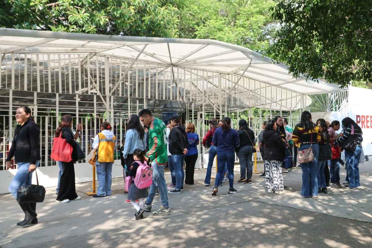 Caída de la natalidad deja a más de mil 600 preescolares de Puebla con menos de 40 estudiantes
