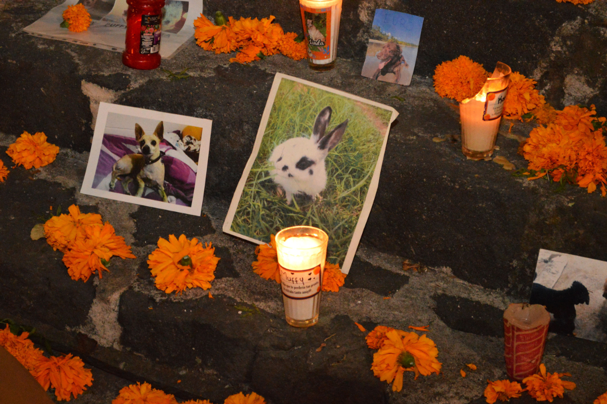¿Cuándo se debe poner la ofrenda para el Día de Muertos? 