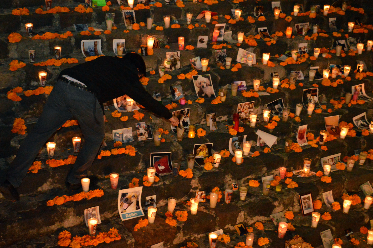 ¿Cuándo se debe poner la ofrenda para el Día de Muertos? 