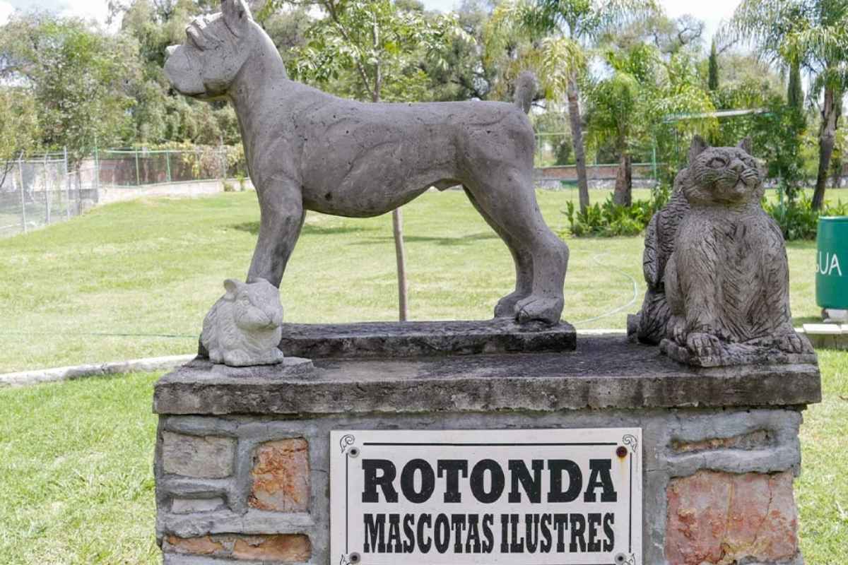 El 27 de octubre, vuelven los animales muertos este es su cementerio en Puebla