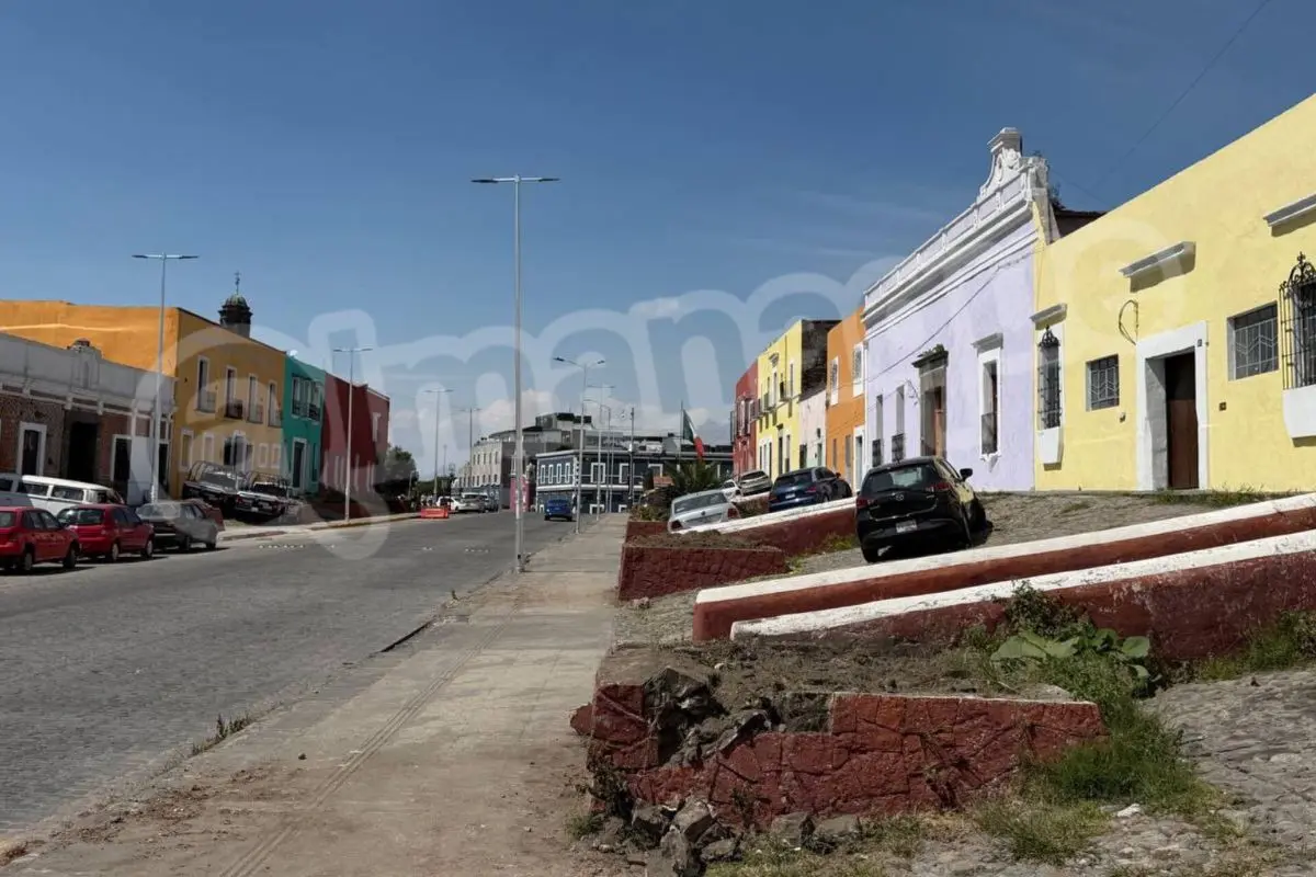 Rehabilitan jardineras en El Alto: retiran palmeras secas en la 14 Oriente de Puebla 3 Inicia rehabilitación de jardineras en El Alto de Puebla