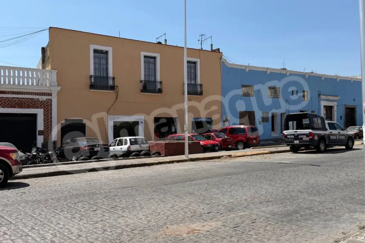 Rehabilitan jardineras en El Alto: retiran palmeras secas en la 14 Oriente de Puebla 2 Inicia rehabilitación de jardineras en El Alto de Puebla