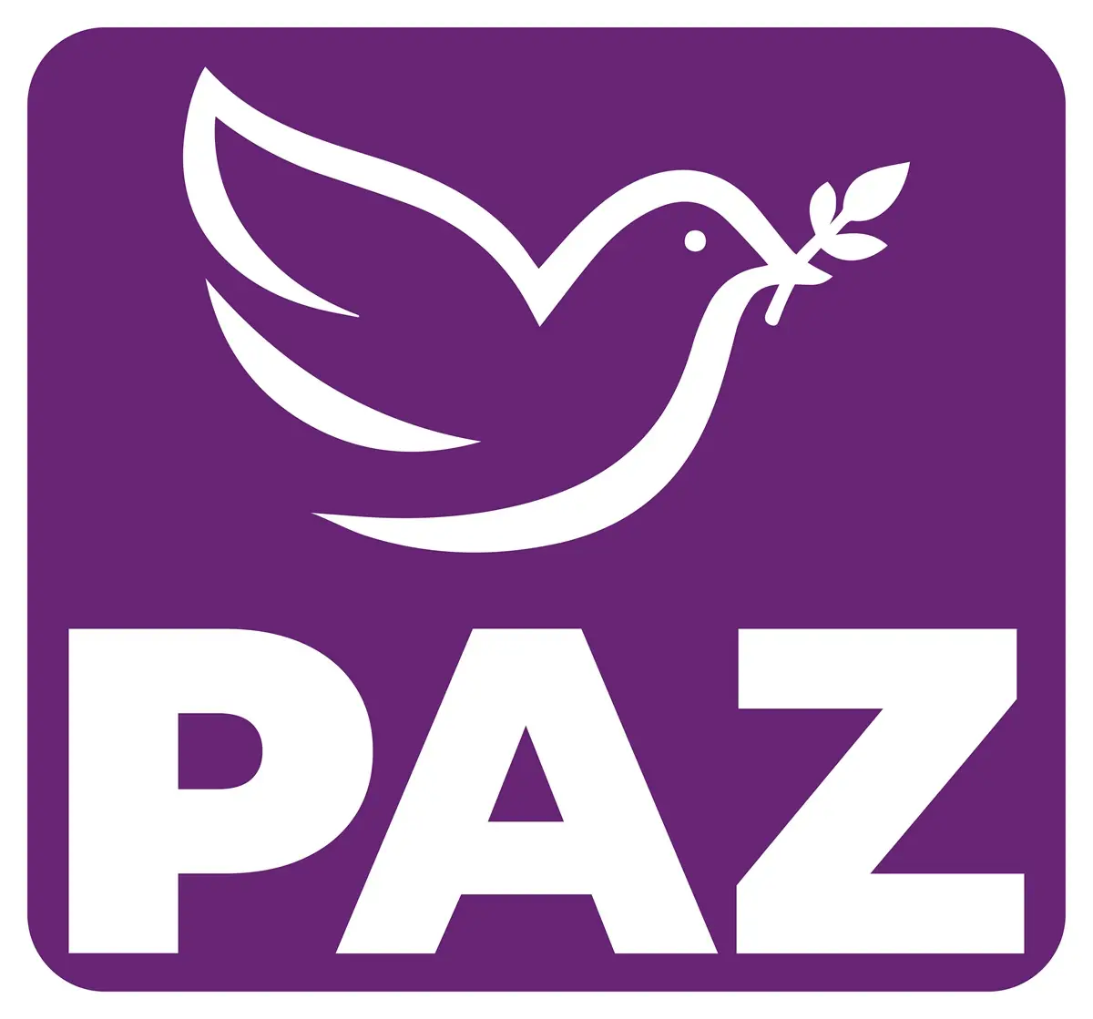 Partido PAZ Puebla niega ser palero de Morena 