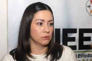 Empresa contratada por Blanca Cruz García en el IEE no está relacionada con Guadalupe Taddei