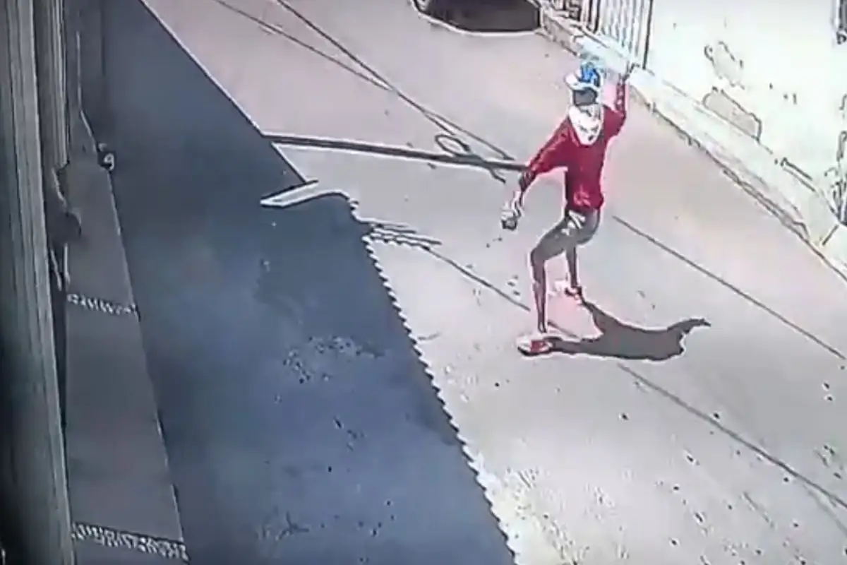 ¿Lo has visto? Este sujeto le aventó una piedra a un perrito y lo dejó herido en Puebla 4 Captan maltrato animal en la colonia Historiadores de Puebla